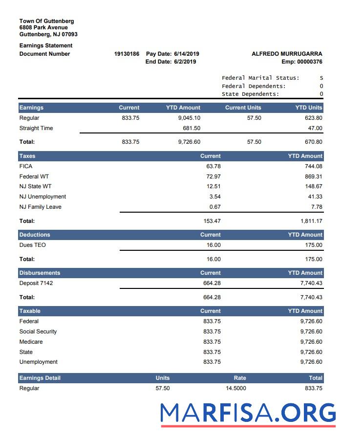 Realistic Current YTD Amount earnings statement sample